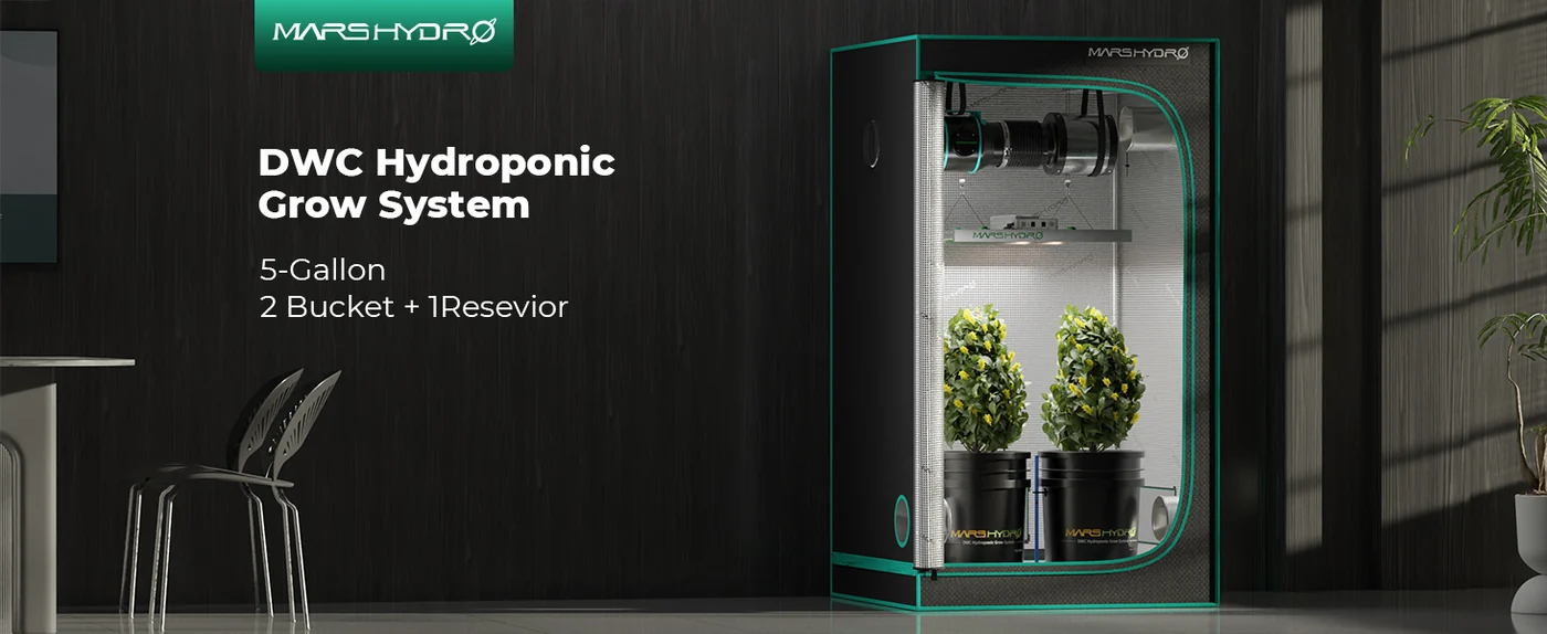 Mars Hydro 5-Gallon DWC Hydroponic System — 2 Bucket